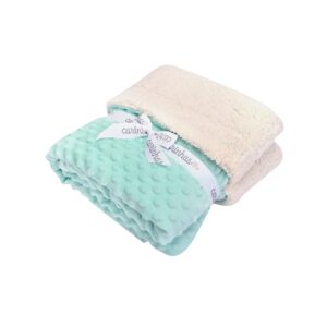 Cobertor Carinhas Microfibra Verde
